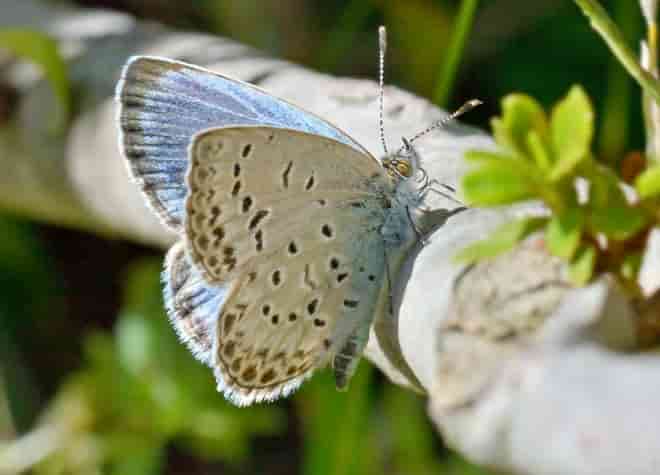 ���}�g�V�W�~